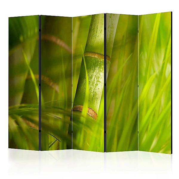 5-teiliges Paravent - Bamboo - Nature Zen Ii [room Dividers] günstig online kaufen