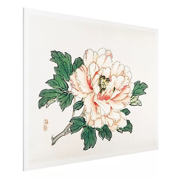 Forexbild Blumen - Querformat Asiatische Vintage Zeichnung Rosa Chrysanthem günstig online kaufen