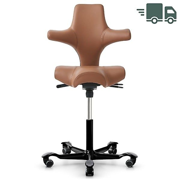 HAG CAPISCO 8106 | Stehhilfe | Leder Paloma Sonderfarbe natur | Gestell sch günstig online kaufen