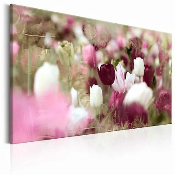 artgeist Wandbild Meadow of Tulips mehrfarbig Gr. 60 x 40 günstig online kaufen
