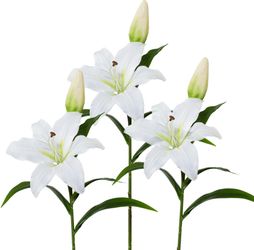 Kunstblume, Creativ green, Höhe 50 cm, günstig online kaufen