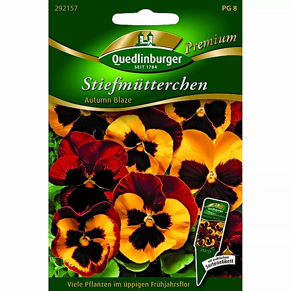 Quedlinburger Stiefmütterchen ''Autumn Blaze'' günstig online kaufen