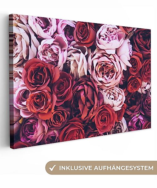 OneMillionCanvasses® Leinwandbild Rosen - Rot - günstig online kaufen