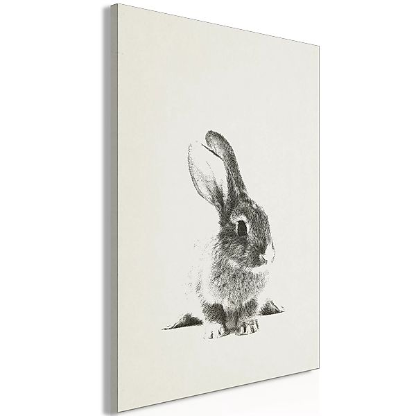 Wandbild - Fluffy Bunny (1 Part) Vertical günstig online kaufen