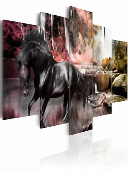 artgeist Wandbild Schwarze Pferd im Dunst des Wasserfalls mehrfarbig Gr. 20 günstig online kaufen