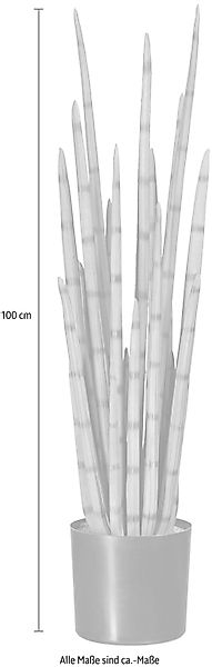 Kunstpflanze Sanseveria, Creativ green, Höhe 100 cm günstig online kaufen