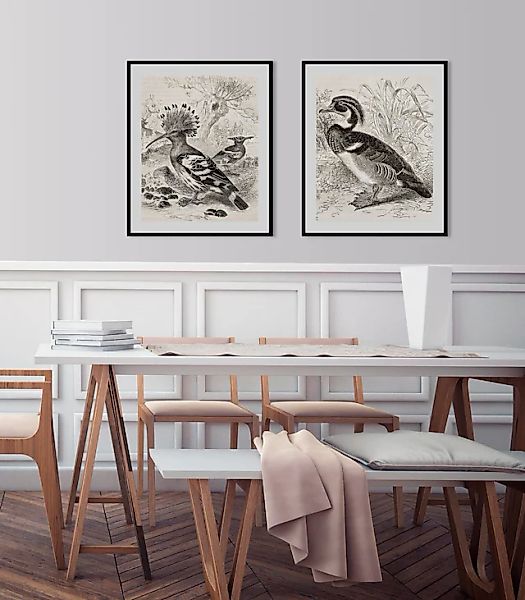queence Bild »Ferdinand« Kunst   Vogelbilder   Vögel   historische Ereignis günstig online kaufen