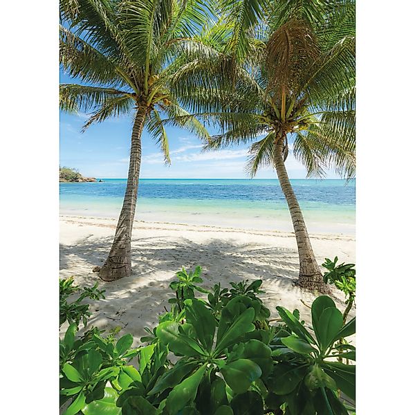 Vlies Fototapete Palmy Beach 200x280 cm günstig online kaufen