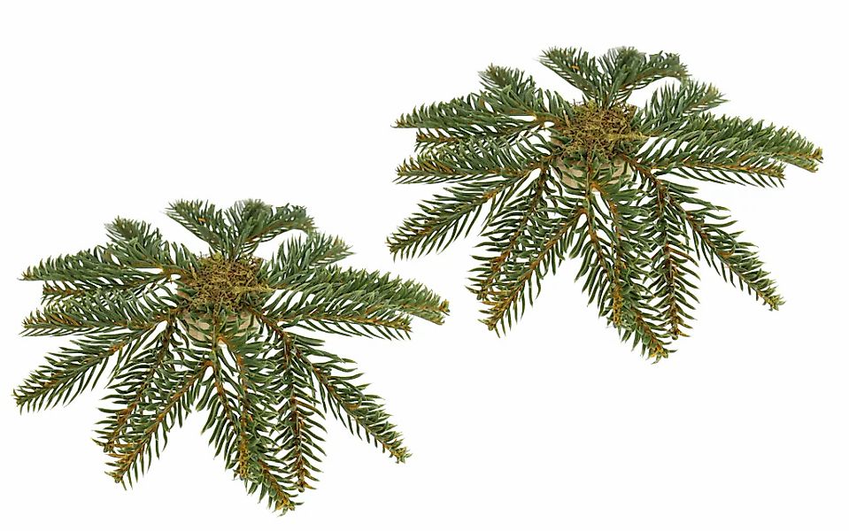 I.GE.A. Kunstkranz "Tannen-Leger" 2er Set Basis für Kränze Arrangements Tan günstig online kaufen