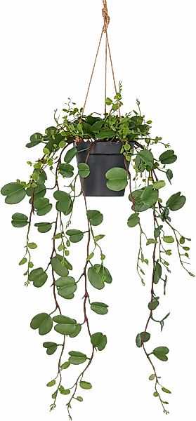 Creativ green Kunstpflanze "Bauhinia", mit detailgetreuen Blattranken günstig online kaufen