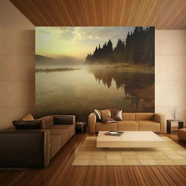 artgeist Fototapete Wald und See sand Gr. 250 x 193 günstig online kaufen