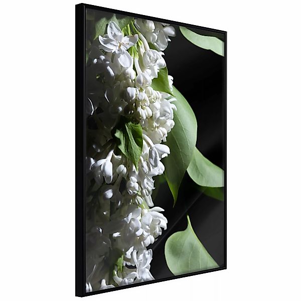 Poster - Fragrant Spring günstig online kaufen