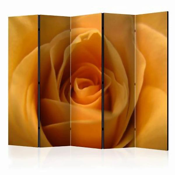 artgeist Paravent Yellow rose – a symbol of friendship II [Room Dividers] g günstig online kaufen