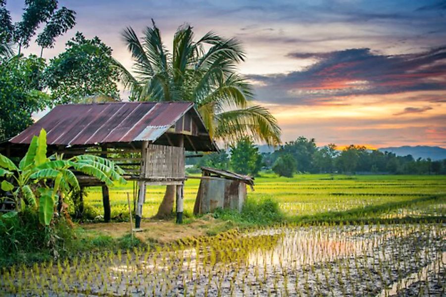 Papermoon Fototapete »REIS-BAUERNHOF-THAILAND HÜTTE GEBIRGE FELD GEBIRGE PA günstig online kaufen