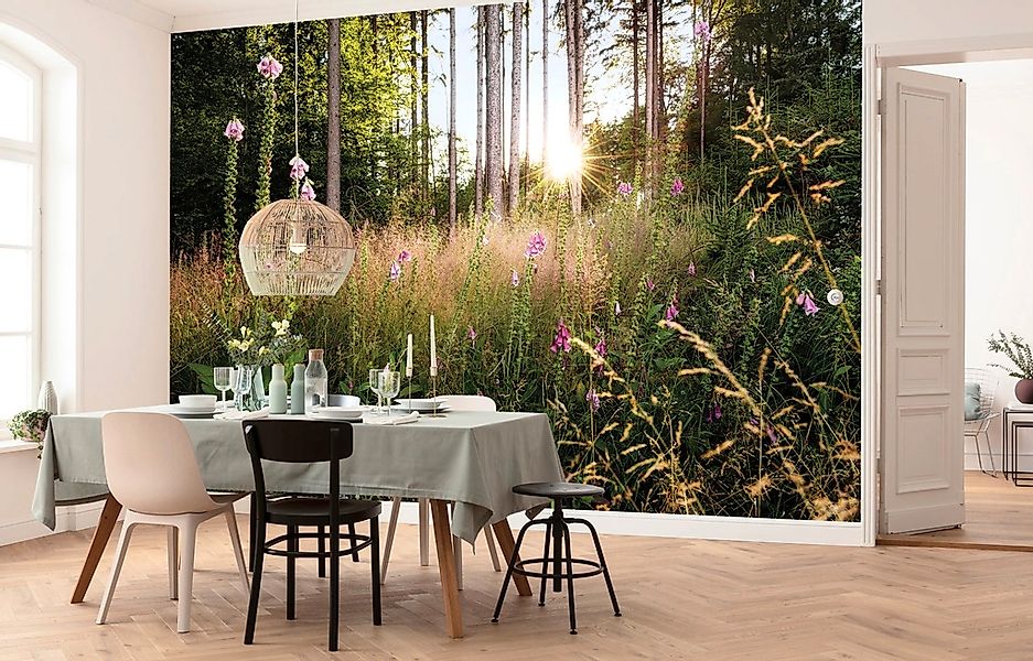 Komar Vliestapete »Digitaldruck Vlies - Summer Glade - Größe 350 x 250 cm«, günstig online kaufen