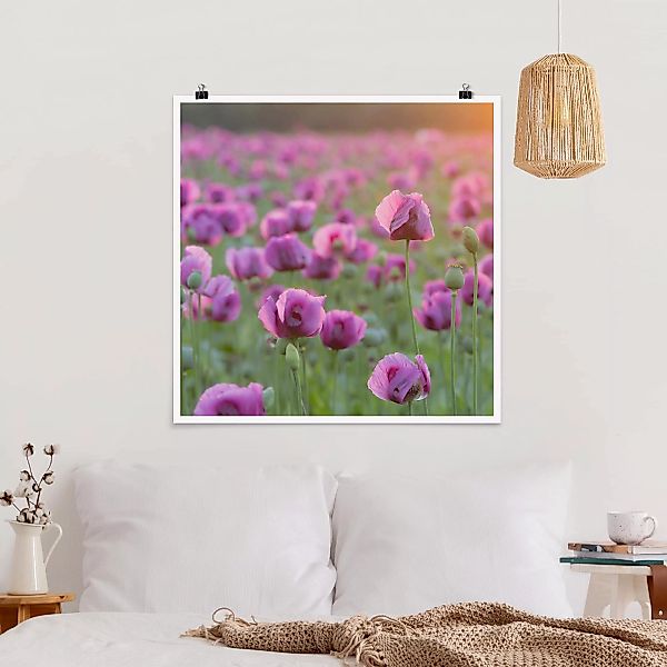 Poster - Quadrat Violette Schlafmohn Blumenwiese im Frühling günstig online kaufen