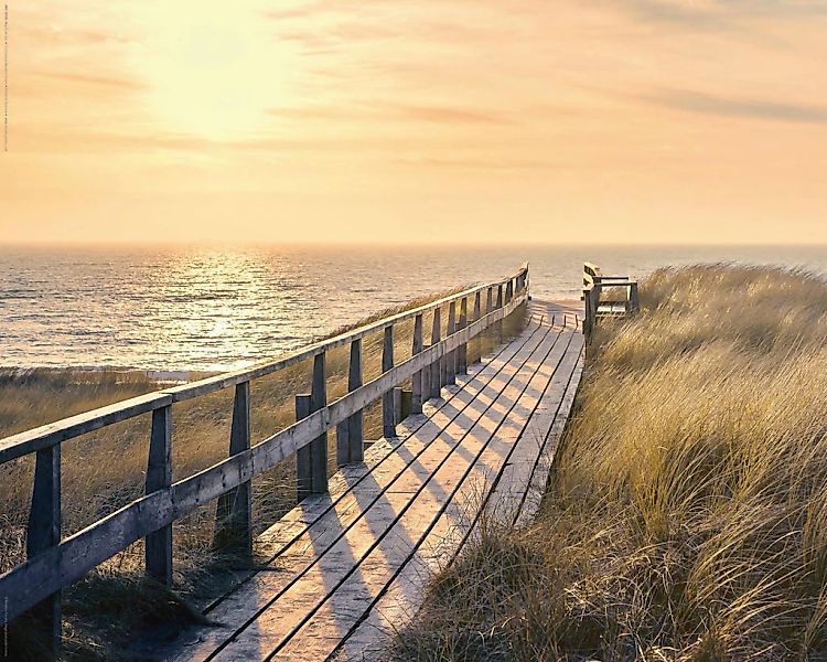 Reinders Deco-Panel "Strandweg" günstig online kaufen