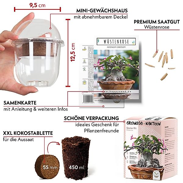HappySeed Blumensamen Kakteen Starter Kit Anzuchtset günstig online kaufen