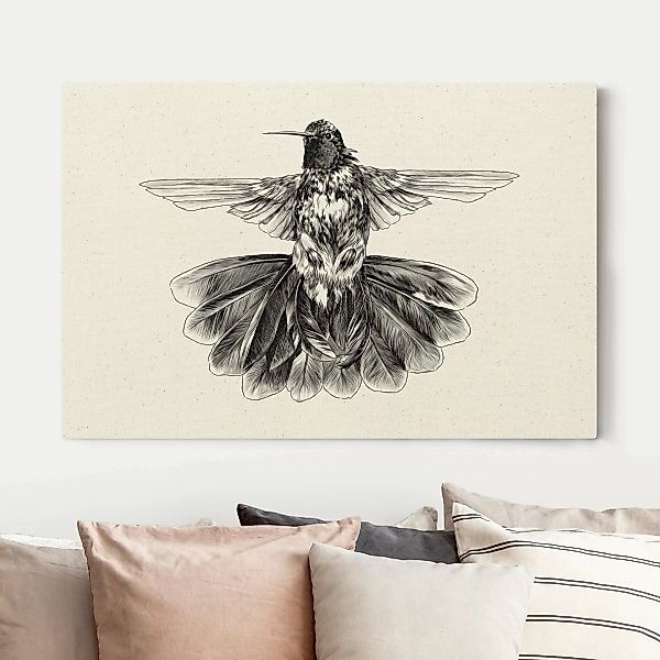 Leinwandbild auf Naturcanvas Illustration fliegender Kolibri Schwarz günstig online kaufen