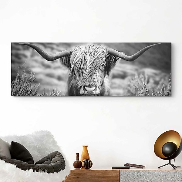 Reinders Wandbild "Wandbild Highlander Bulle Tiermotiv - Nahaufnahme - Hoch günstig online kaufen