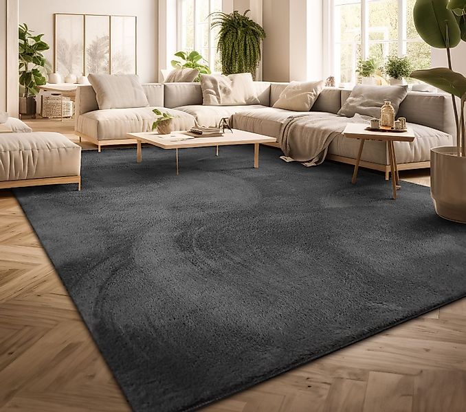 TT Home Teppich, Rechteckig, Höhe: 14 günstig online kaufen