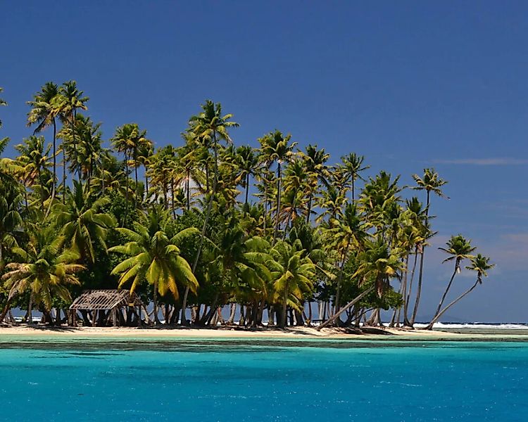 Fototapete "Tahiti Palmen" 4,00x2,50 m / Glattvlies Brillant günstig online kaufen