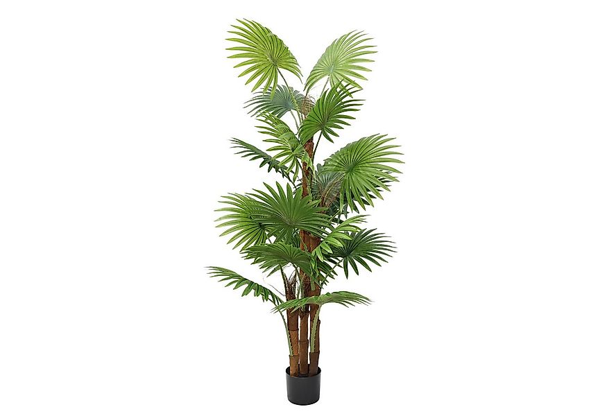 Kunstpflanze Künstliche Palme 160 cm im Topf Fächerpalme Kunstbaum Palme, A günstig online kaufen