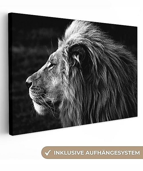 OneMillionCanvasses® Leinwandbild Tiere - Schwarz - Weiß - Profil, Fotodruc günstig online kaufen