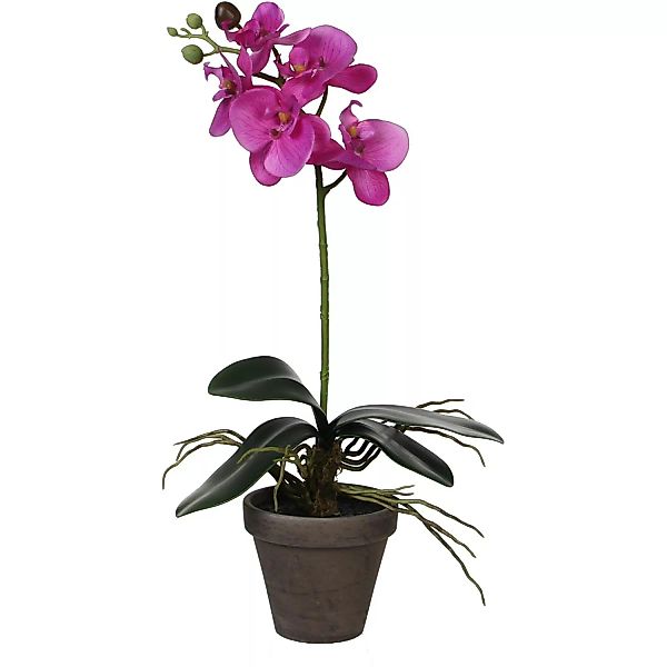 Mica Decorations Kunstpflanze Phalaenopsis im Topf Ø 13 cm x 48 cm Violett günstig online kaufen
