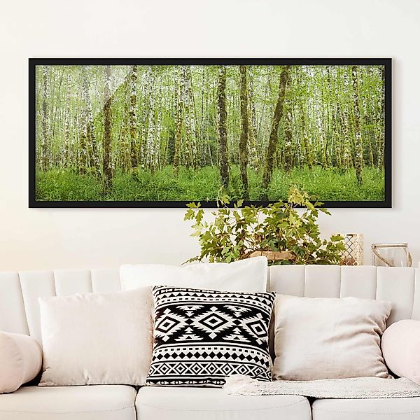 Bild mit Rahmen - Panorama Hoh Rainforest Olympic National Park günstig online kaufen