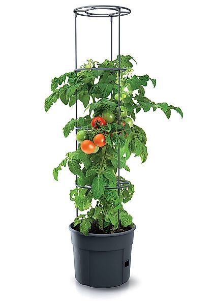 Spetebo Blumentopf Tomaten Pflanz Topf m. günstig online kaufen