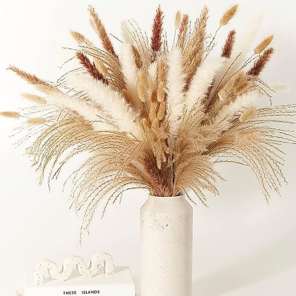 Trockenblume Pampasgras Trockenblumen Deko,75 Stück Pampasgras günstig online kaufen
