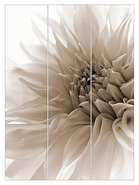 Bilderdepot24 Schiebegardine modern Flächenvorhang blickdicht Dahlie günstig online kaufen