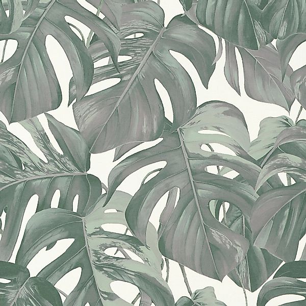 Bricoflor Monstera Tapete Weiß Grün Vlies Palmentapete im Tropical Stil Ide günstig online kaufen