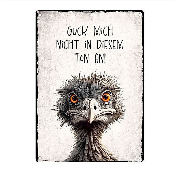 Cadouri Metallschild 'Guck mich nicht in diesem Ton an' Dekoschild mit Spru günstig online kaufen