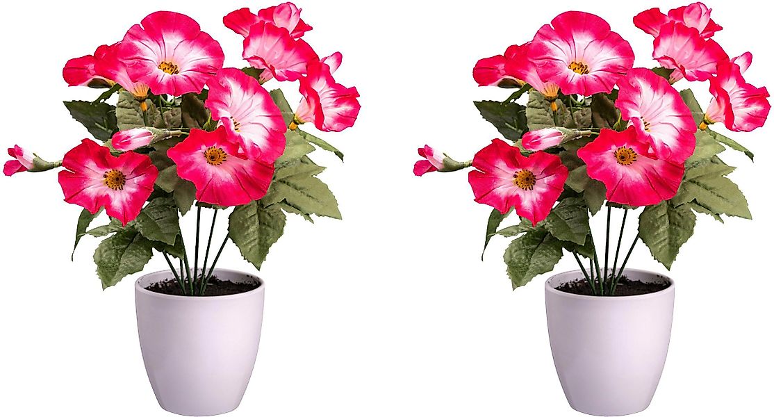 Kunstblume Petunie Mohn, Creativ green, Höhe günstig online kaufen
