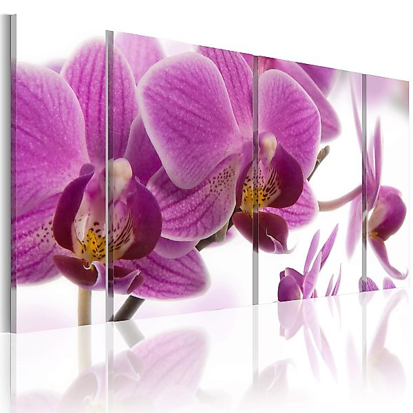 Wandbild - Marvelous Orchid günstig online kaufen