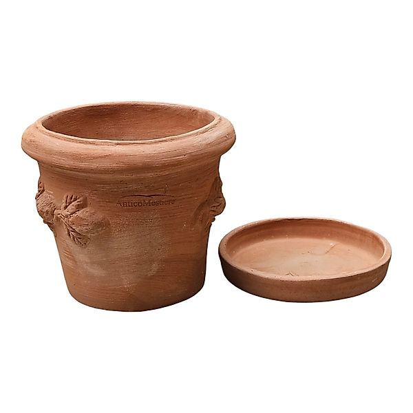 Teramico Blumentopfuntersetzer Pflanzenuntersetzer Teller 21 - günstig online kaufen