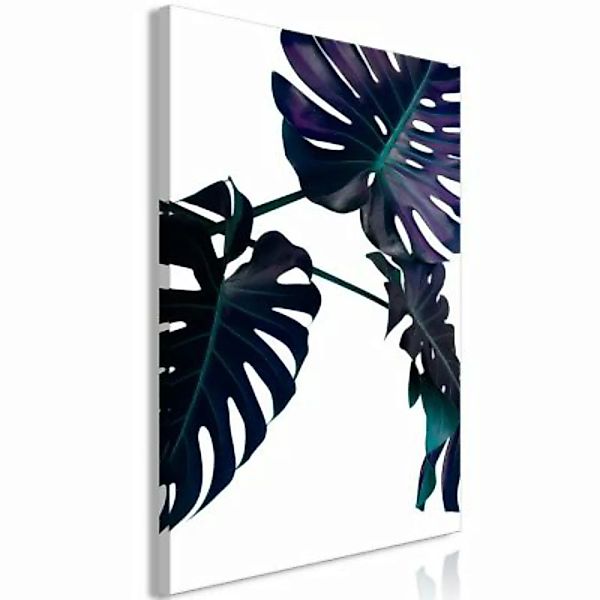 artgeist Wandbild Evergreen (1 Part) Wide weiß-kombi Gr. 60 x 40 günstig online kaufen