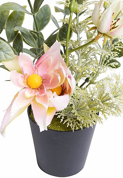 Botanic-Haus Künstliche Zimmerpflanze "Christrosen-Arrangement im schwarzen günstig online kaufen
