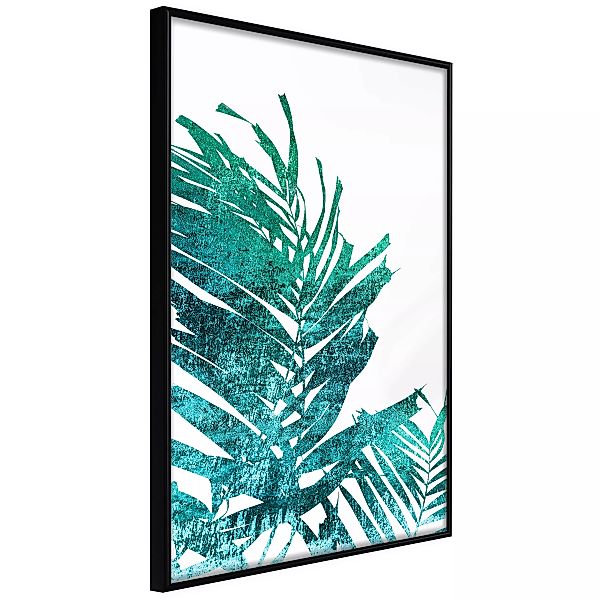 Poster - Teal Palm On White Background günstig online kaufen