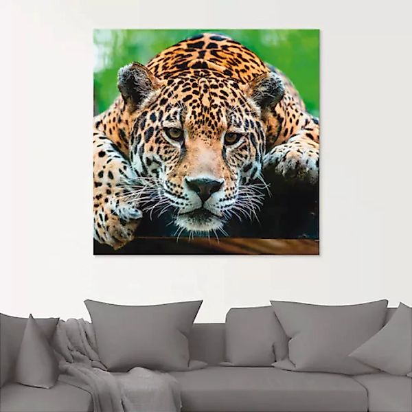 Artland Glasbild "Südamerikanischer Jaguar", Wildtiere, (1 St.) günstig online kaufen