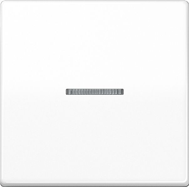 Jung Wippe mit Lichtleiter AS500 Alpinweiß günstig online kaufen