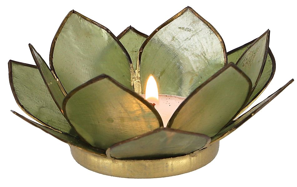 Guru-Shop Windlicht Lotus Teelicht Muschel 11*4 günstig online kaufen