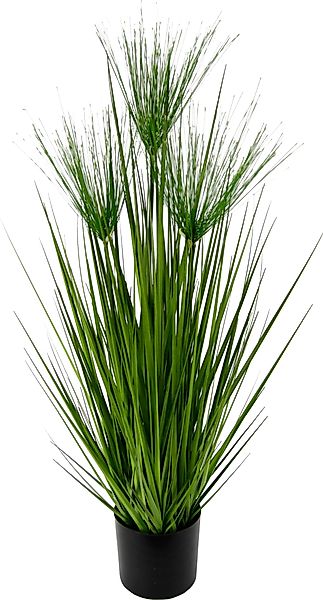 Kunstpflanze Zyperngras im Topf Zyperngras, I.GE.A., günstig online kaufen