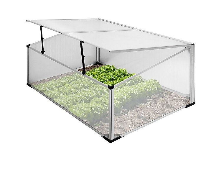 ECD Germany Frühbeet Gewächshaus Treibhaus Frühbeetkasten Tomatenhaus Pflan günstig online kaufen