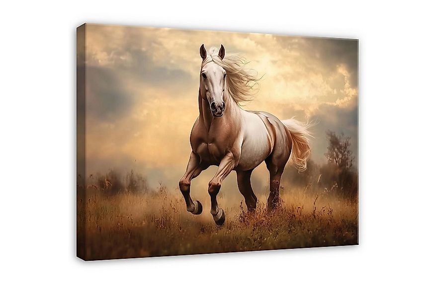 Wallarena Leinwandbild Pferd Feld Tier Natur Wandbilder Wand Deko XXL Bilde günstig online kaufen