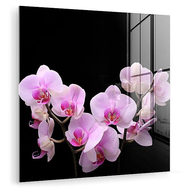 MuchoWow Acrylglasbild Orchidee - Blumen - günstig online kaufen