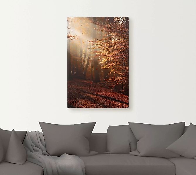 Artland Wandbild »Sonnenaufgang im Herbst«, Wald, (1 St.) günstig online kaufen