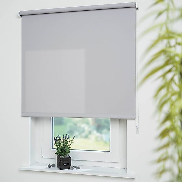 Seitenzugrollo Uni, Liedeco, Lichtschutz, mit Bohren, günstig online kaufen
